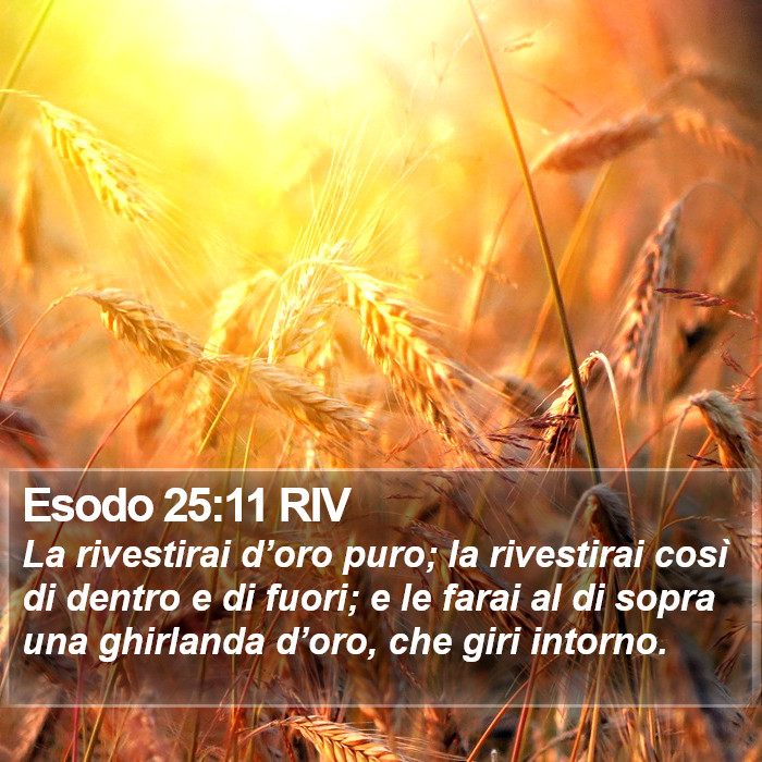 Esodo 25:11 RIV Bible Study