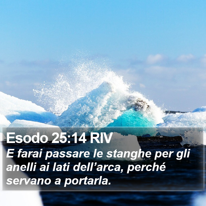 Esodo 25:14 RIV Bible Study