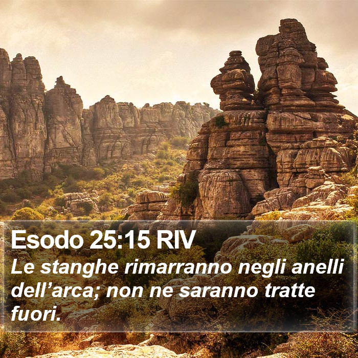 Esodo 25:15 RIV Bible Study