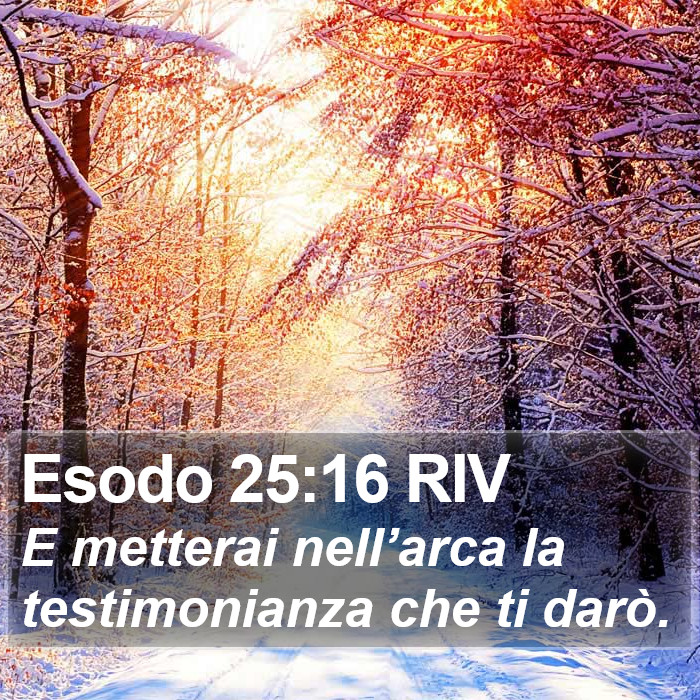 Esodo 25:16 RIV Bible Study