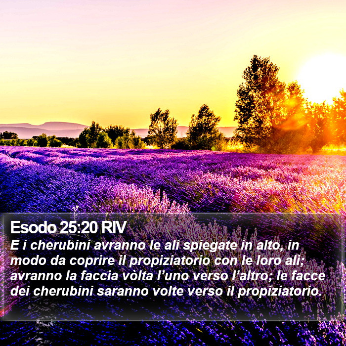 Esodo 25:20 RIV Bible Study