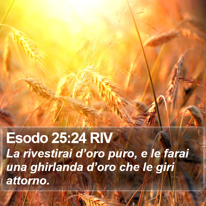 Esodo 25:24 RIV Bible Study