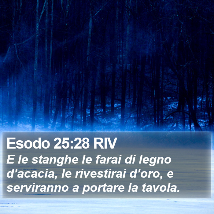 Esodo 25:28 RIV Bible Study