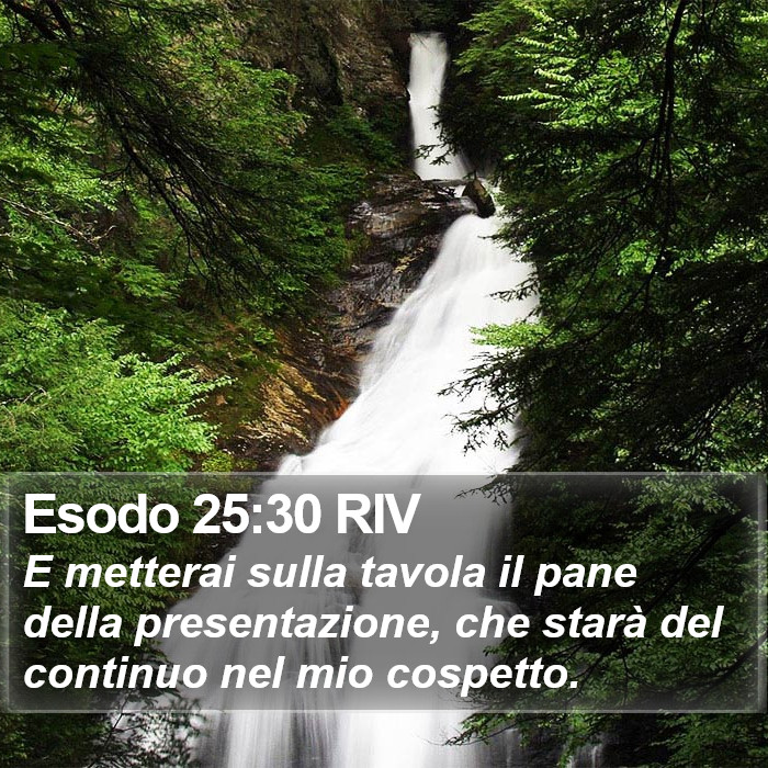 Esodo 25:30 RIV Bible Study