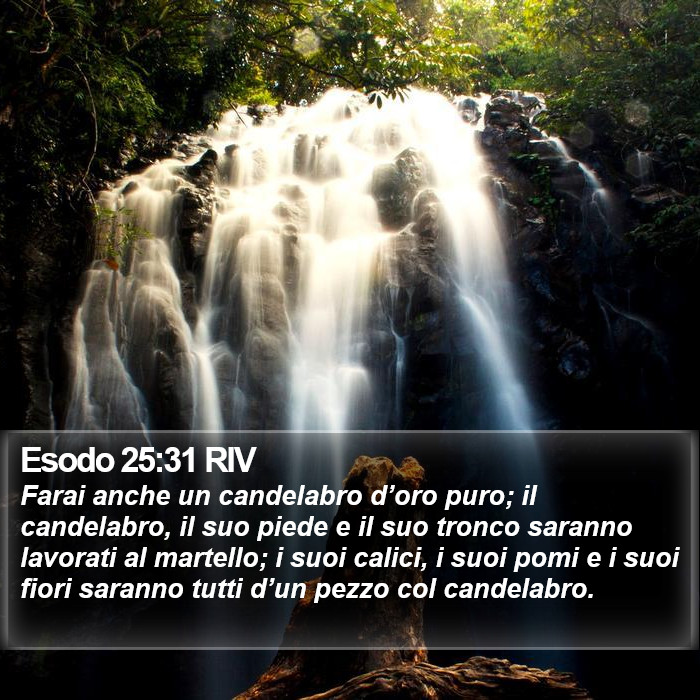 Esodo 25:31 RIV Bible Study