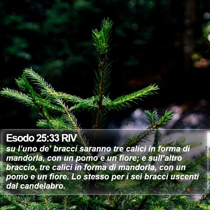 Esodo 25:33 RIV Bible Study