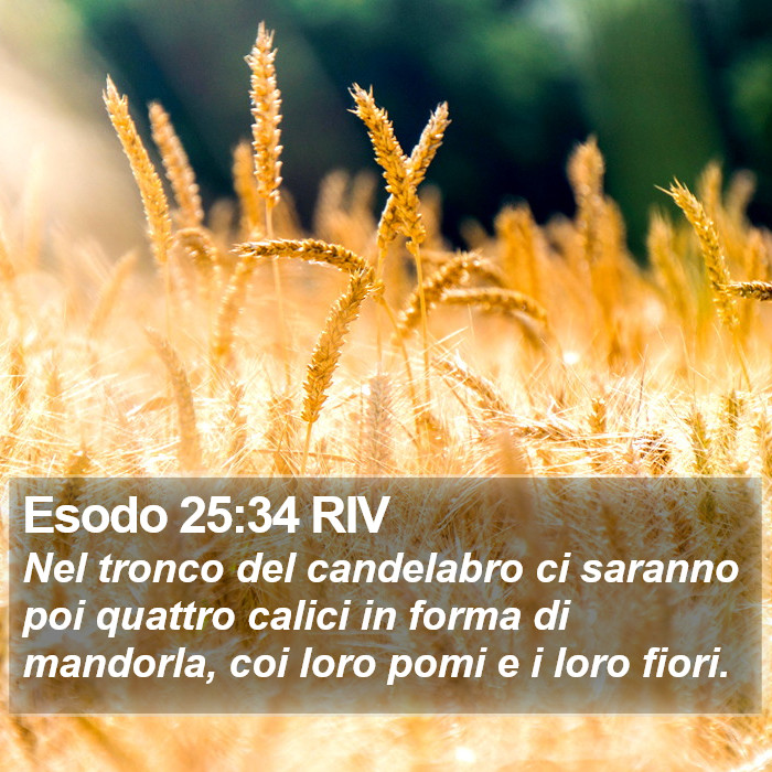 Esodo 25:34 RIV Bible Study