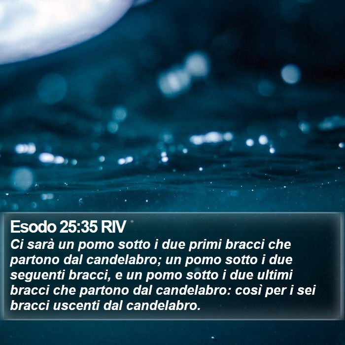 Esodo 25:35 RIV Bible Study