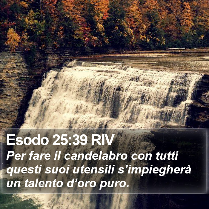 Esodo 25:39 RIV Bible Study