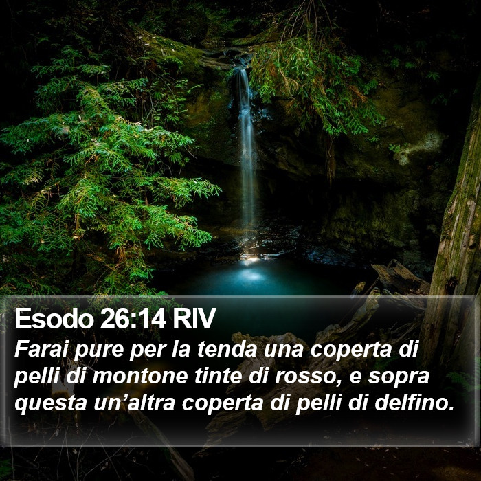 Esodo 26:14 RIV Bible Study