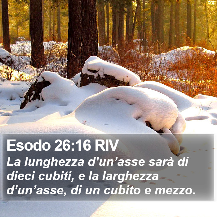 Esodo 26:16 RIV Bible Study