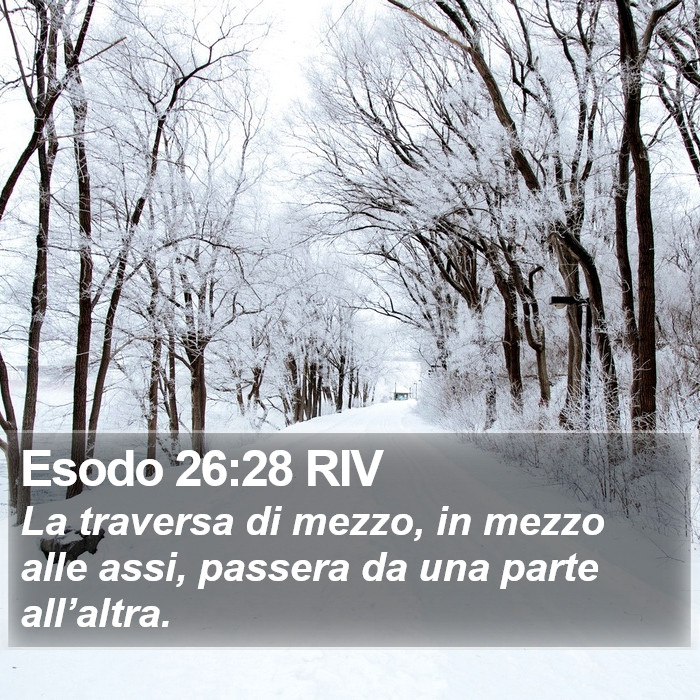 Esodo 26:28 RIV Bible Study