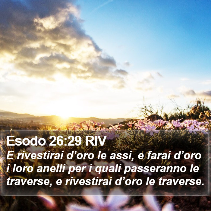 Esodo 26:29 RIV Bible Study