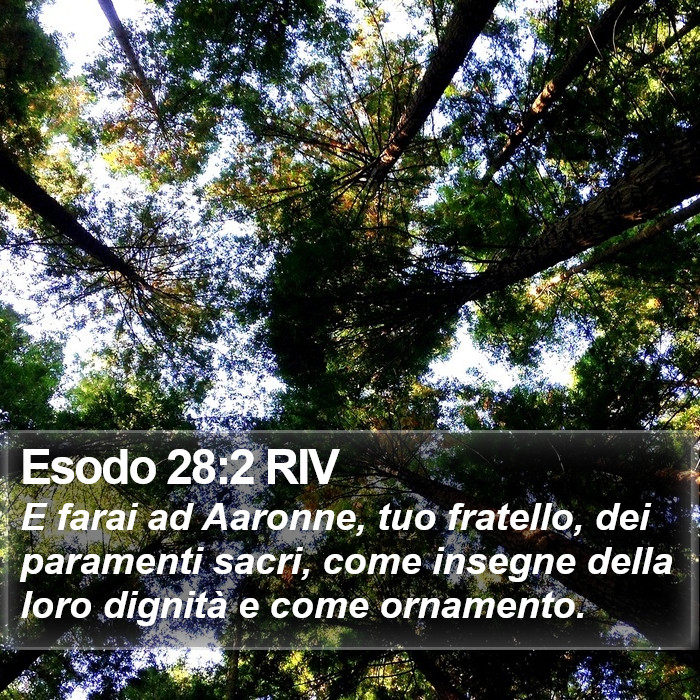 Esodo 28:2 RIV Bible Study