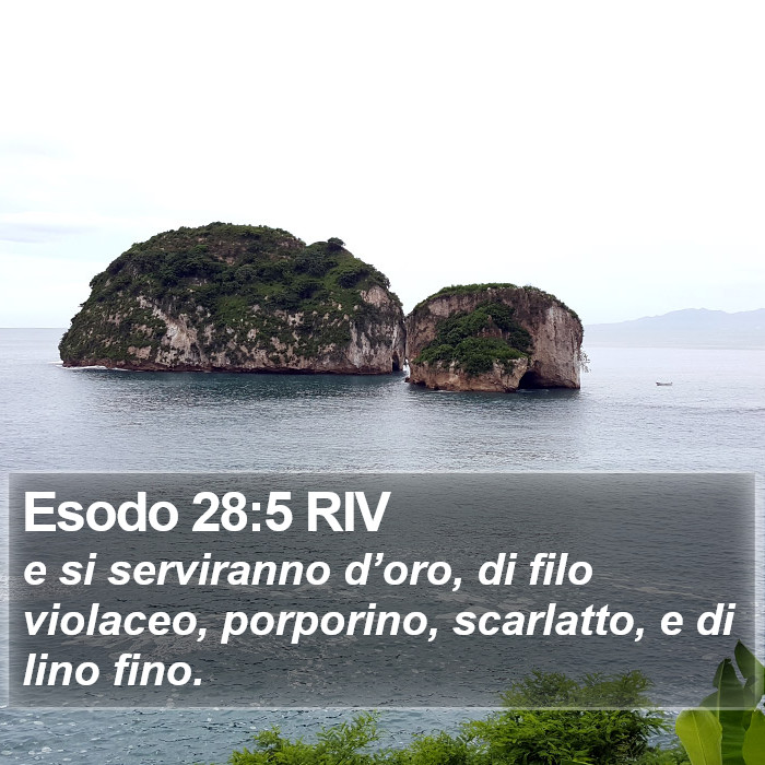 Esodo 28:5 RIV Bible Study