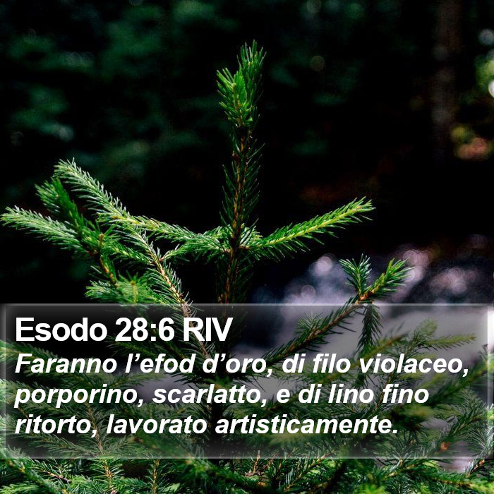 Esodo 28:6 RIV Bible Study