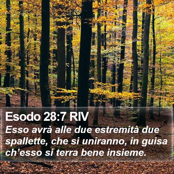 Esodo 28:7 RIV Bible Study