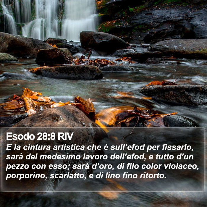 Esodo 28:8 RIV Bible Study