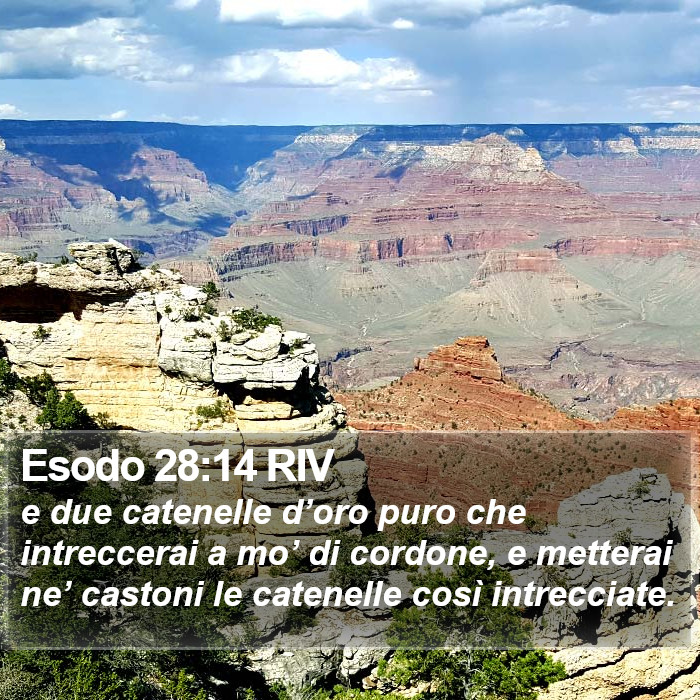 Esodo 28:14 RIV Bible Study