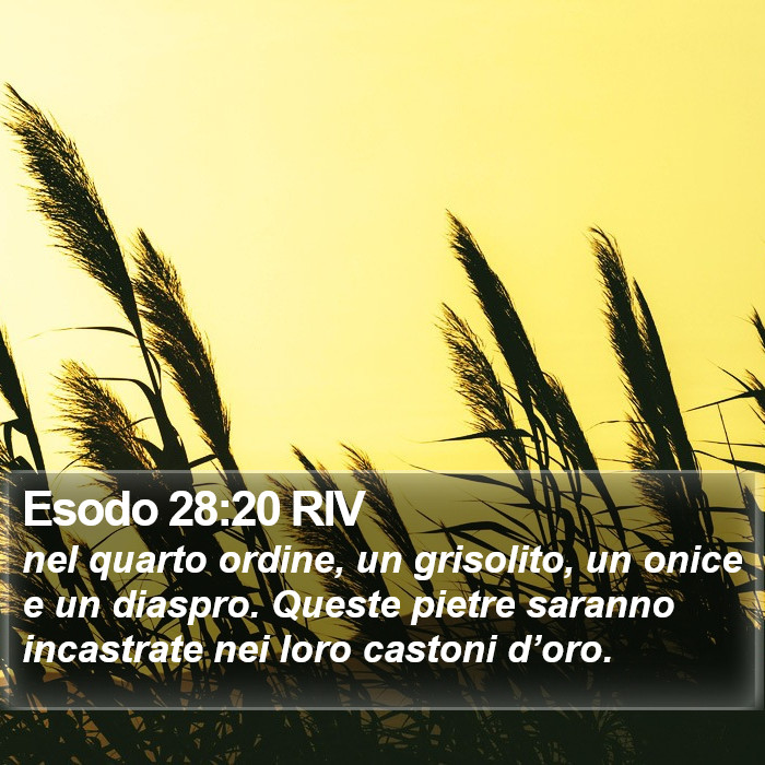 Esodo 28:20 RIV Bible Study