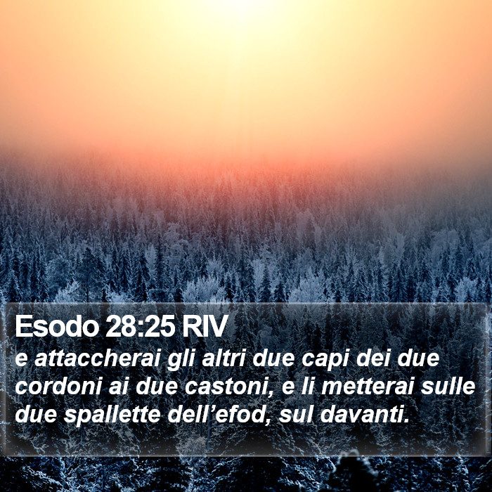 Esodo 28:25 RIV Bible Study