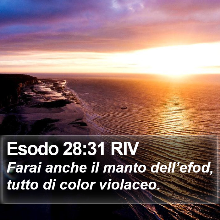 Esodo 28:31 RIV Bible Study