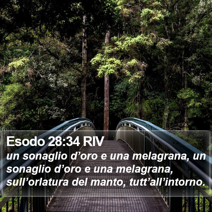 Esodo 28:34 RIV Bible Study