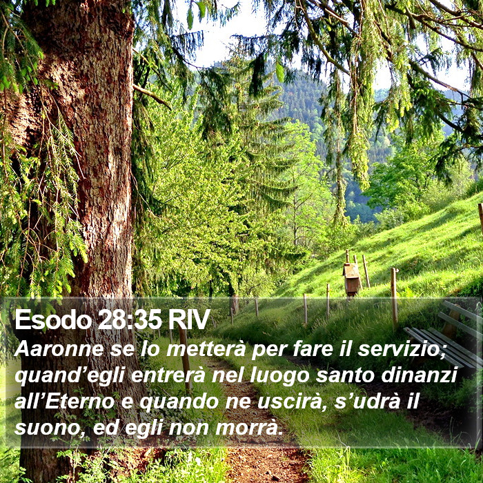 Esodo 28:35 RIV Bible Study