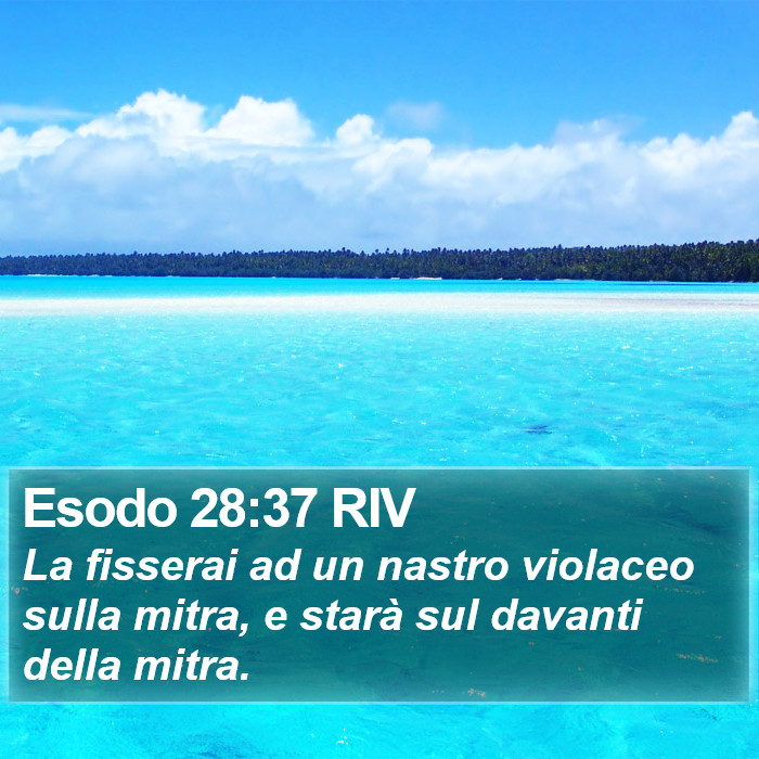 Esodo 28:37 RIV Bible Study