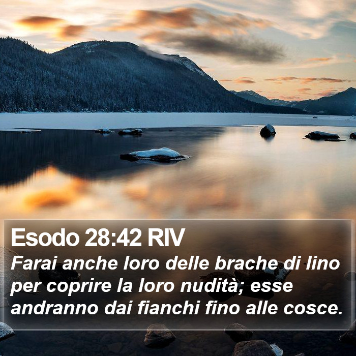 Esodo 28:42 RIV Bible Study