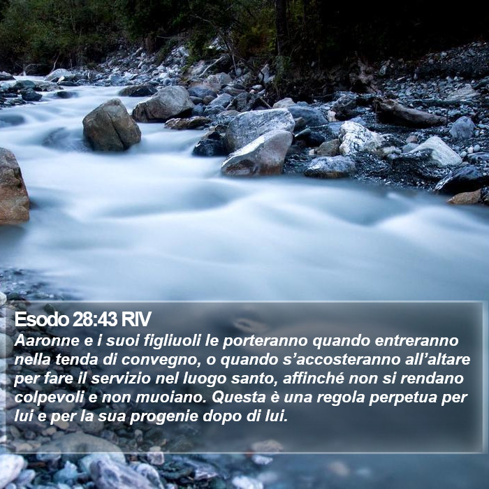 Esodo 28:43 RIV Bible Study