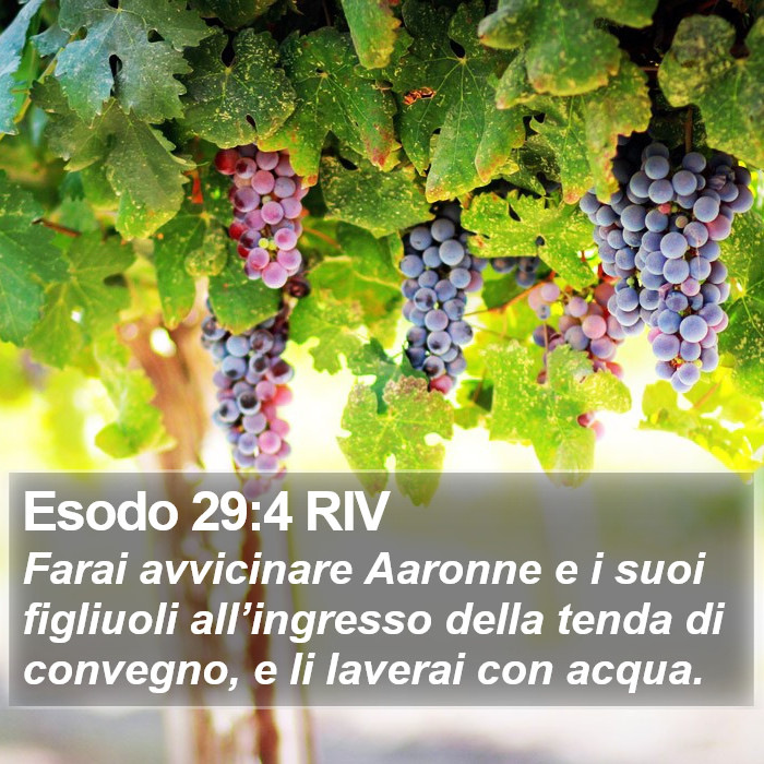 Esodo 29:4 RIV Bible Study