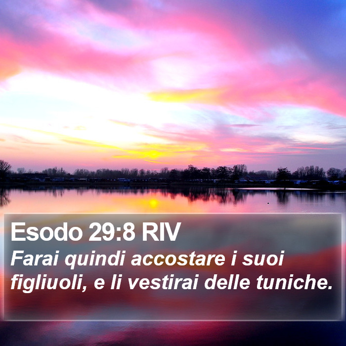Esodo 29:8 RIV Bible Study