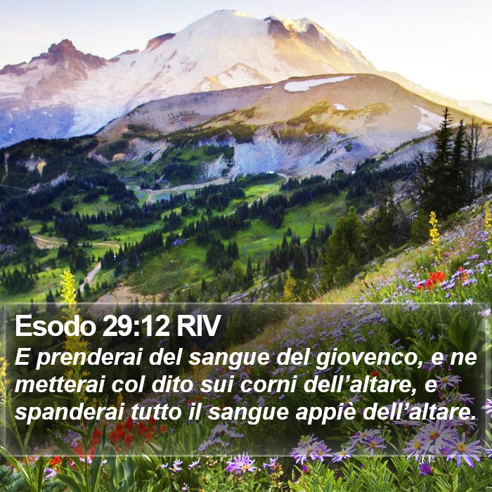 Esodo 29:12 RIV Bible Study