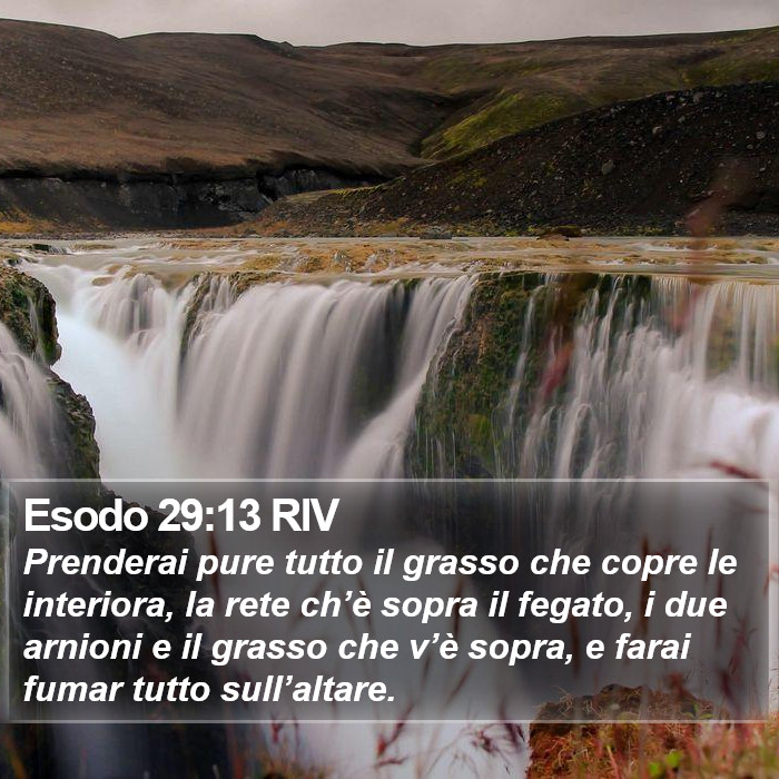 Esodo 29:13 RIV Bible Study