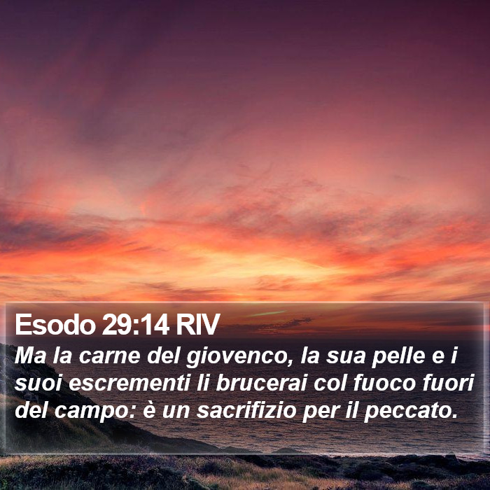 Esodo 29:14 RIV Bible Study