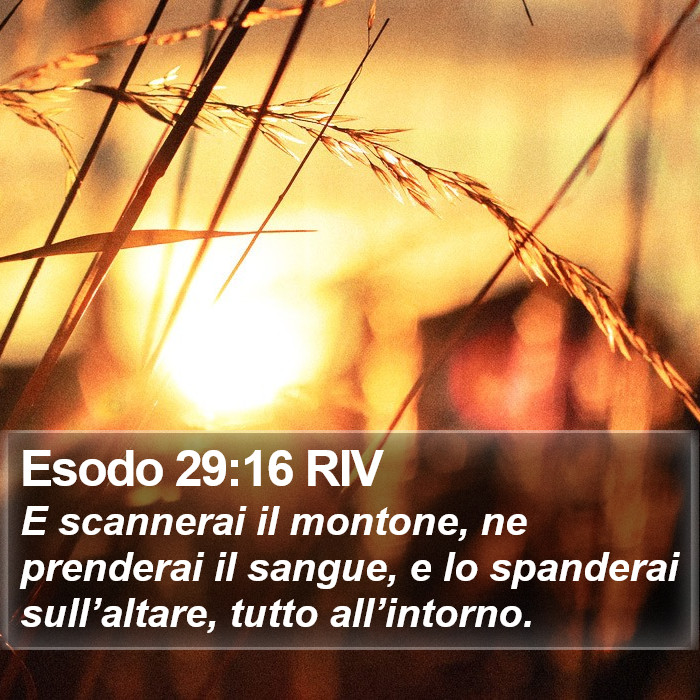 Esodo 29:16 RIV Bible Study