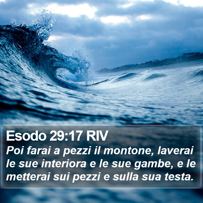 Esodo 29:17 RIV Bible Study
