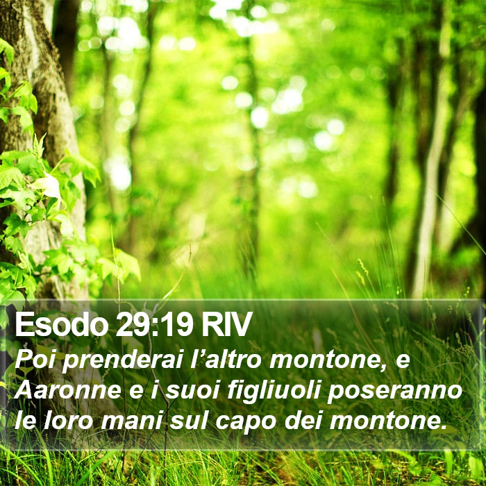 Esodo 29:19 RIV Bible Study