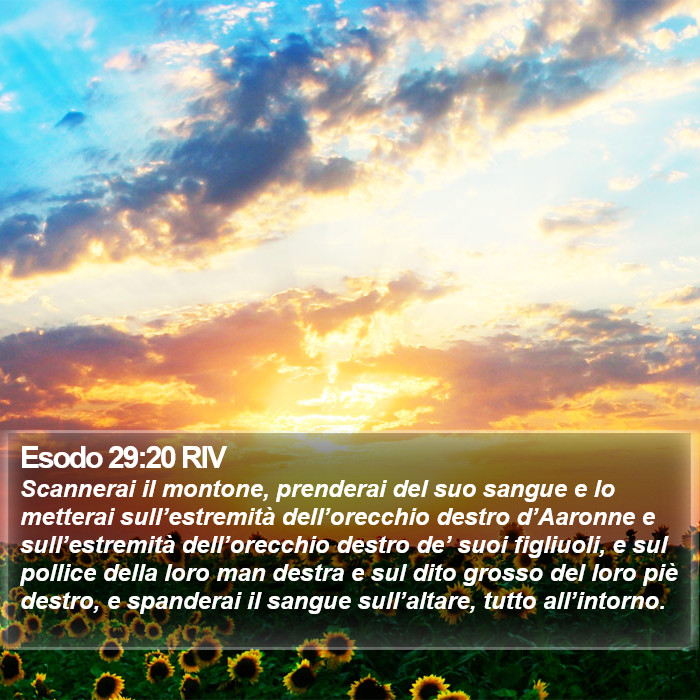 Esodo 29:20 RIV Bible Study