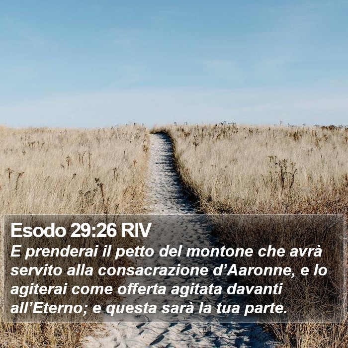 Esodo 29:26 RIV Bible Study