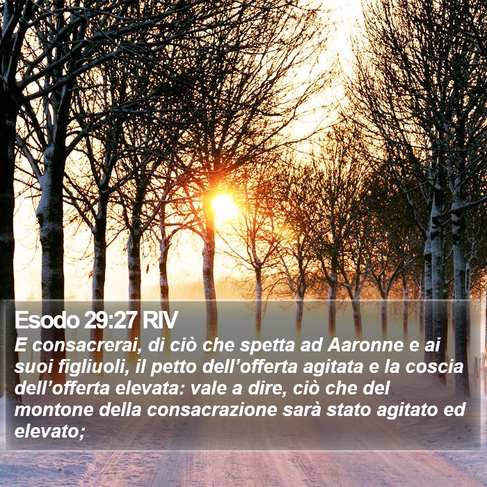 Esodo 29:27 RIV Bible Study