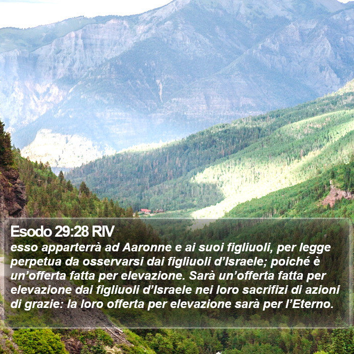 Esodo 29:28 RIV Bible Study