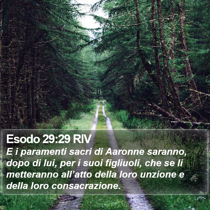 Esodo 29:29 RIV Bible Study