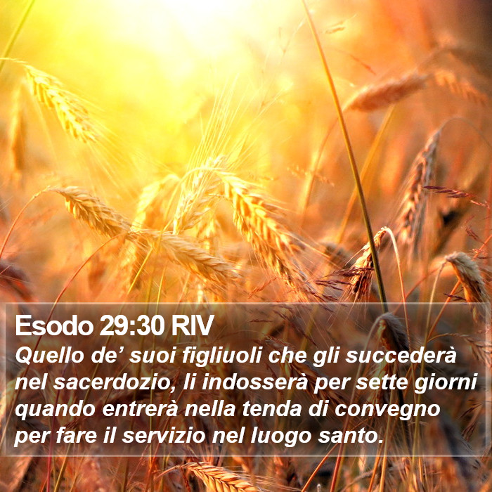 Esodo 29:30 RIV Bible Study
