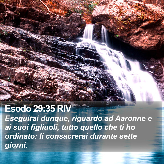 Esodo 29:35 RIV Bible Study