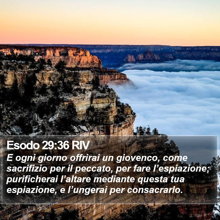 Esodo 29:36 RIV Bible Study