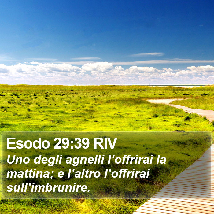 Esodo 29:39 RIV Bible Study