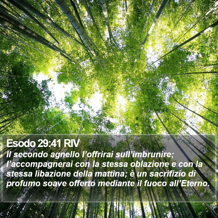 Esodo 29:41 RIV Bible Study