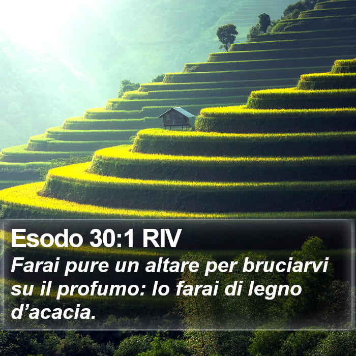 Esodo 30:1 RIV Bible Study